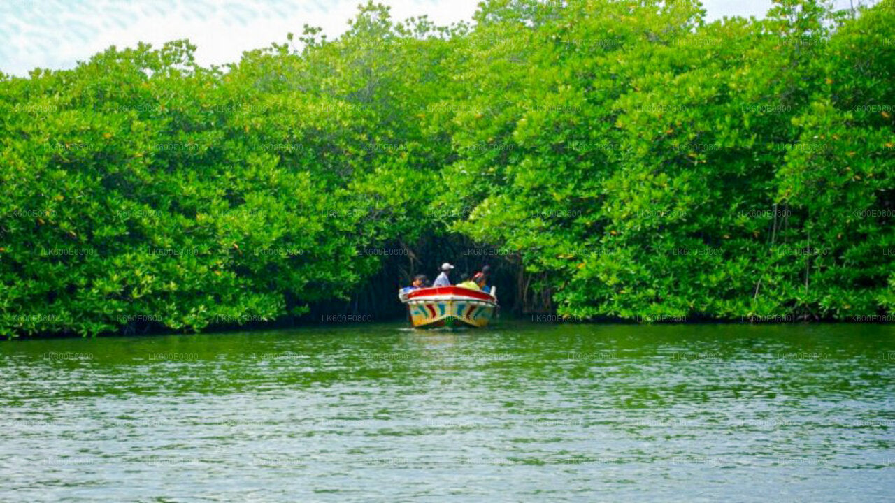 Bentota linnaekskursioon ja Galle Beruwalast
