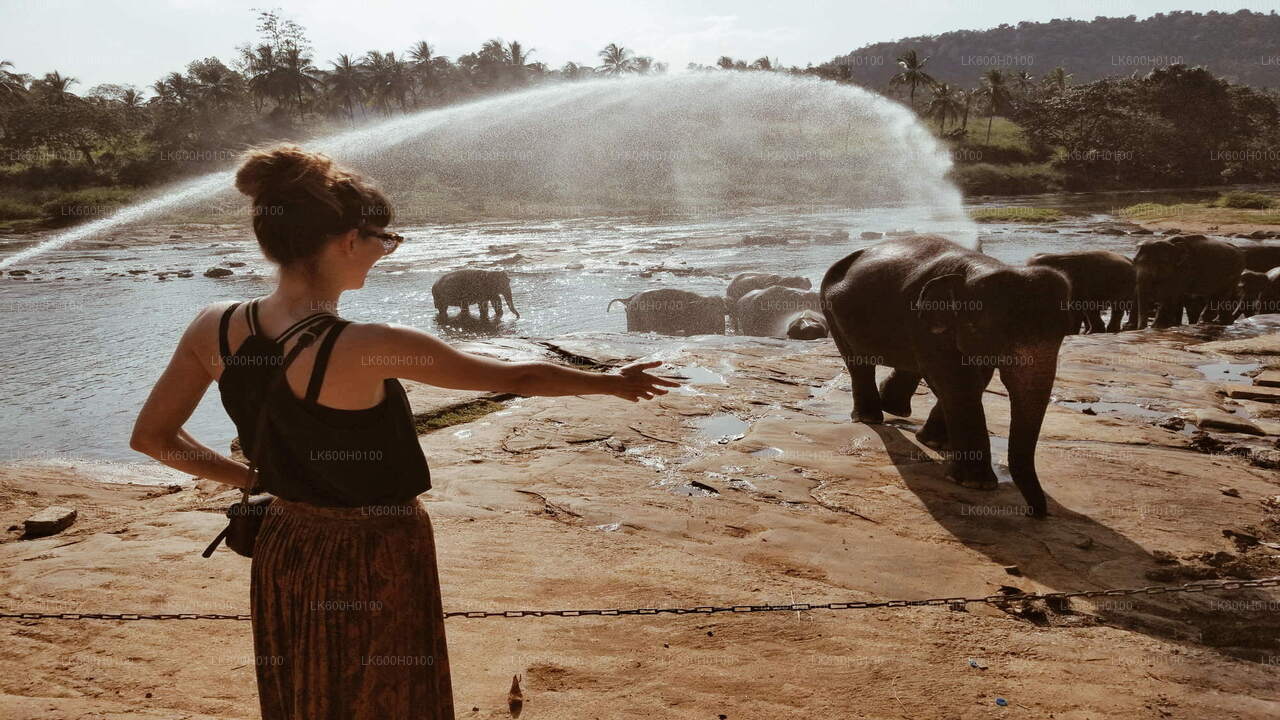 Kandy linnaekskursioon Colombost