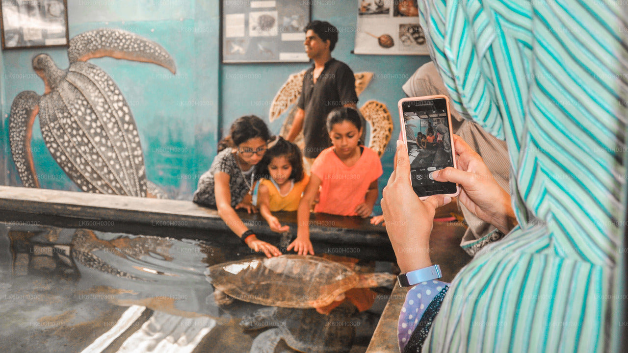 Handungoda, Galle ja Kosgoda Colombost