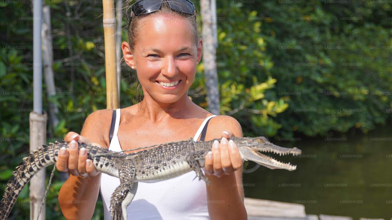 Rannikusõit Colombost Galle'i