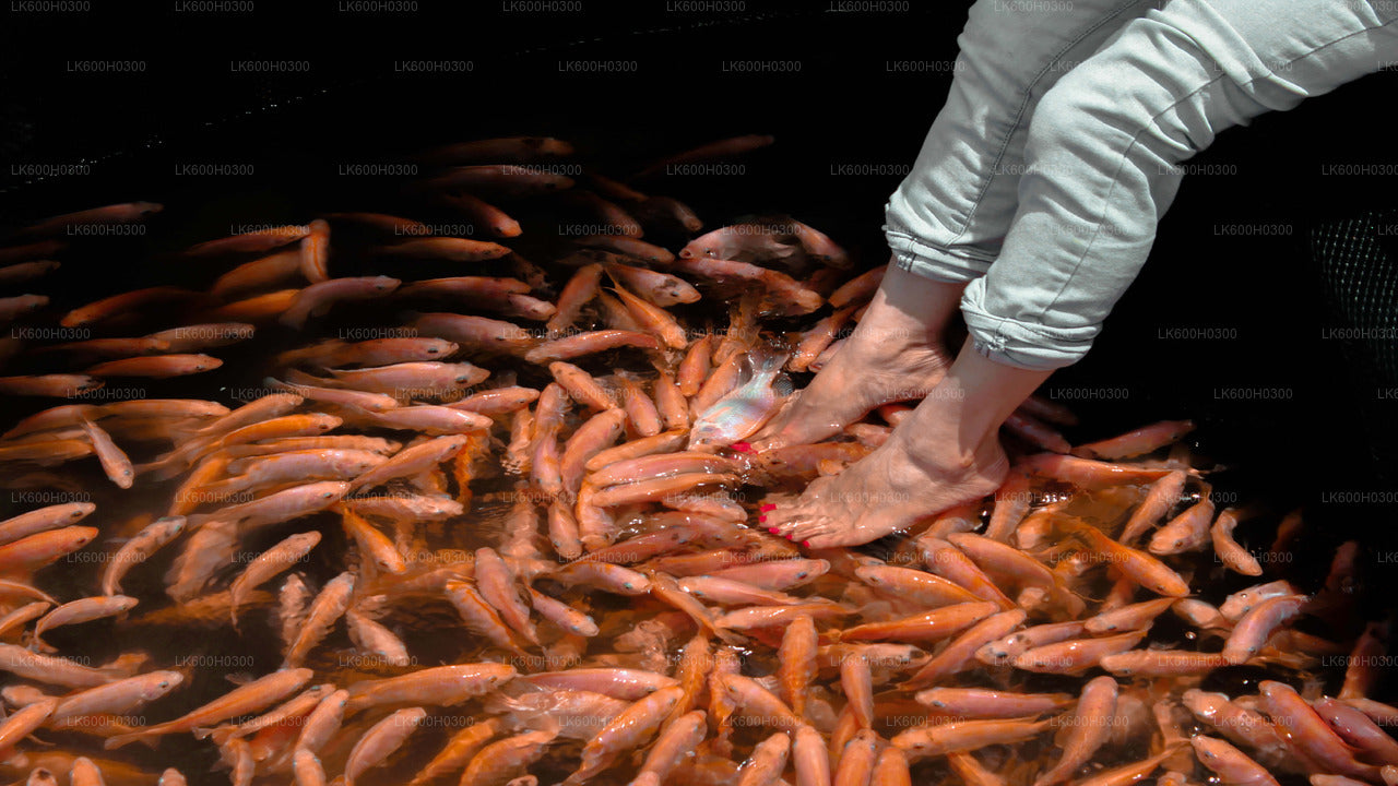 Rannikusõit Colombost Galle'i