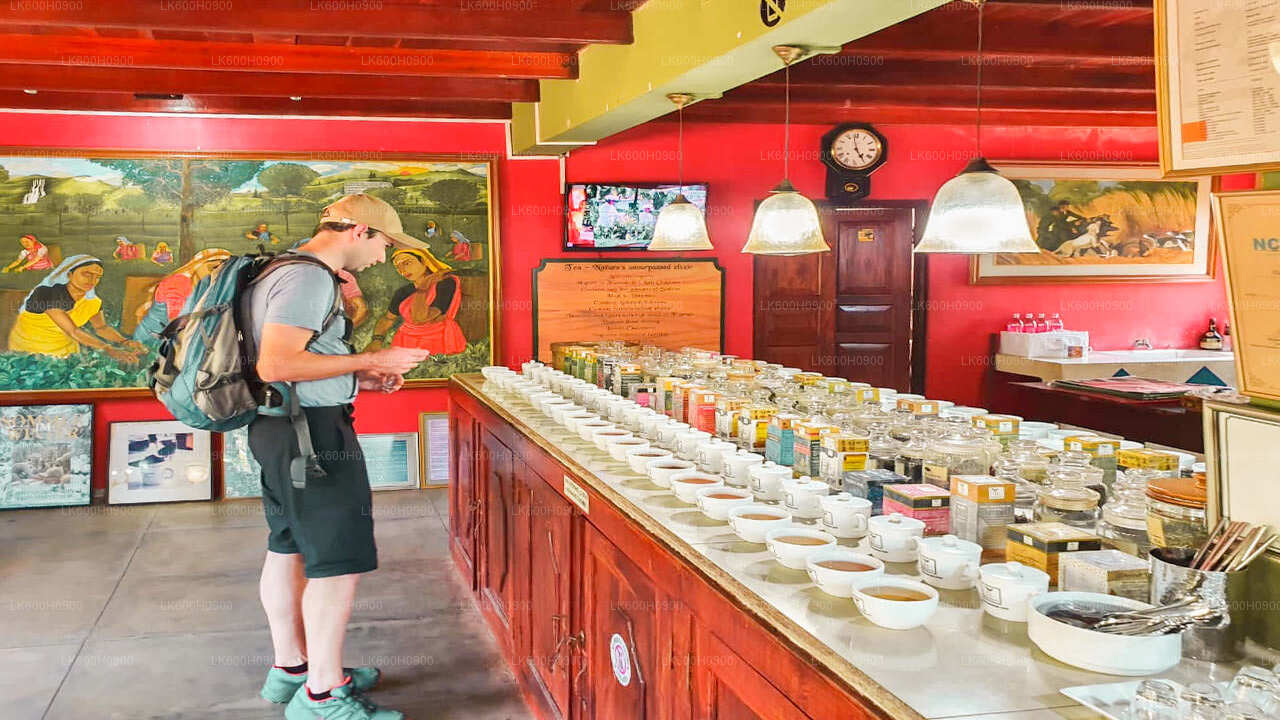 Lõunaranniku tipphetked Colombost