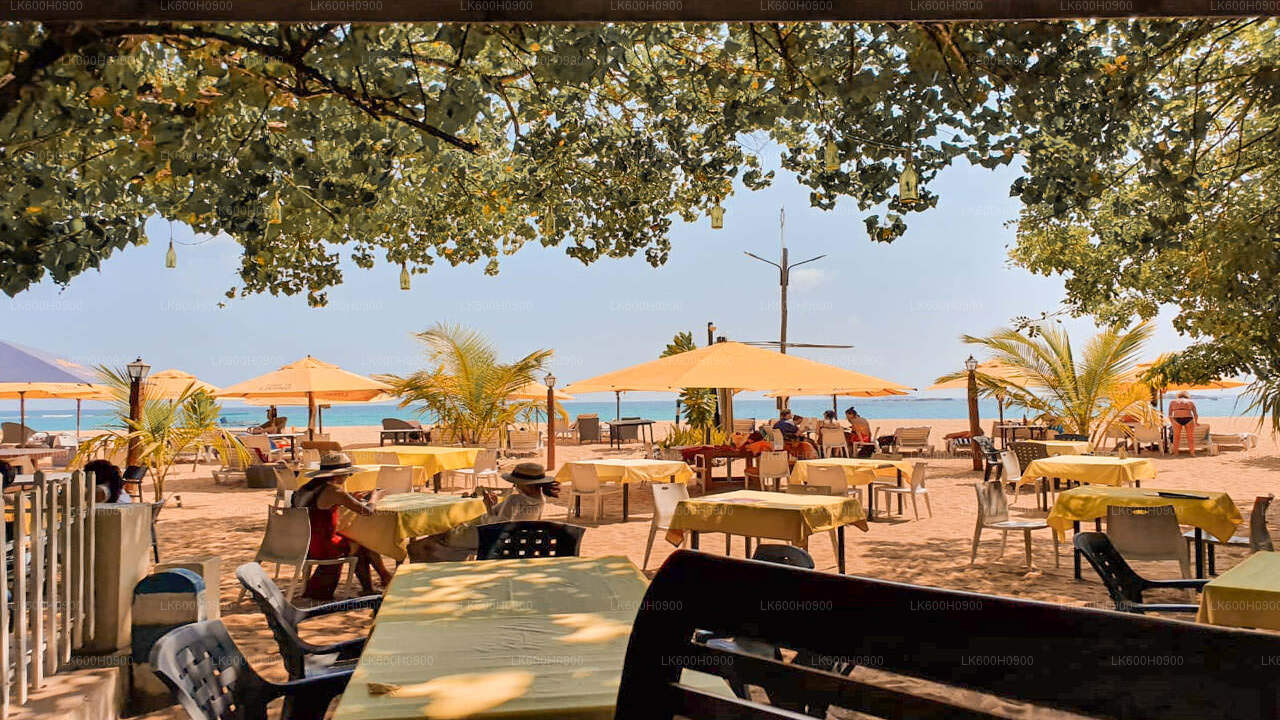 Lõunaranniku tipphetked Colombost