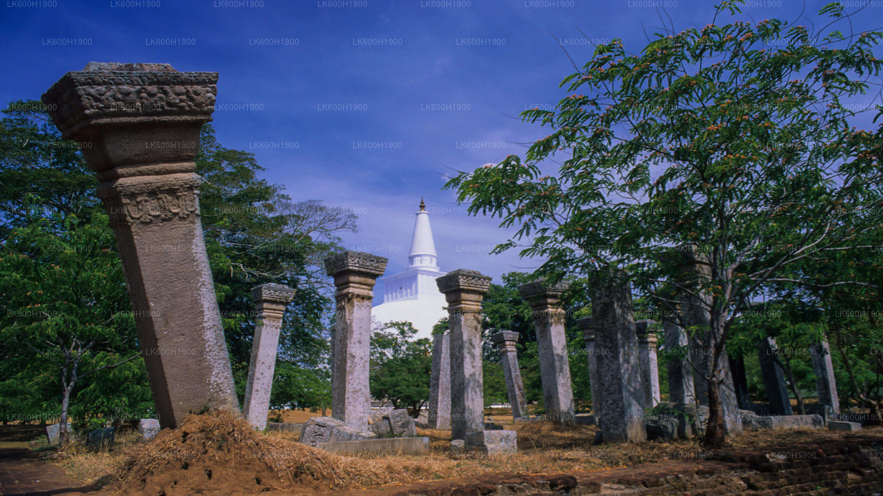 Anuradhapura püha linn Colombost