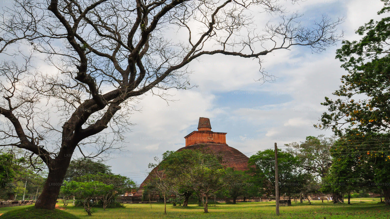 Anuradhapura püha linn Colombost
