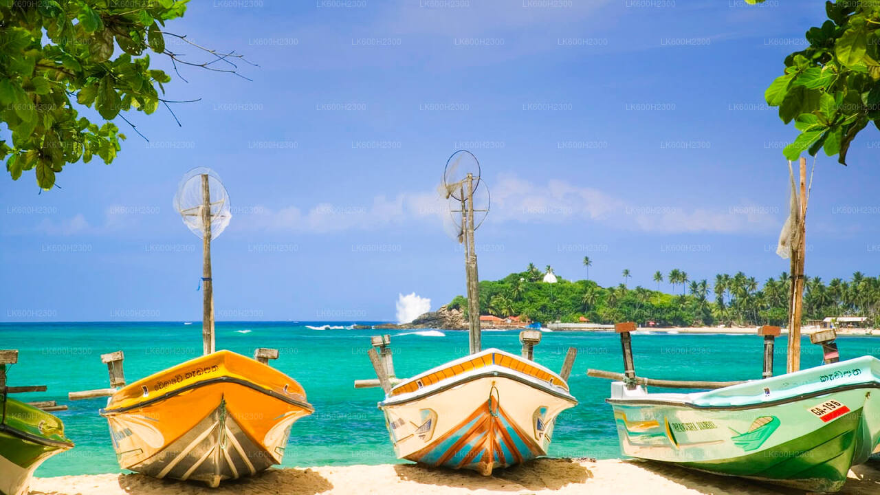 Negombo linnaekskursioon Colombost