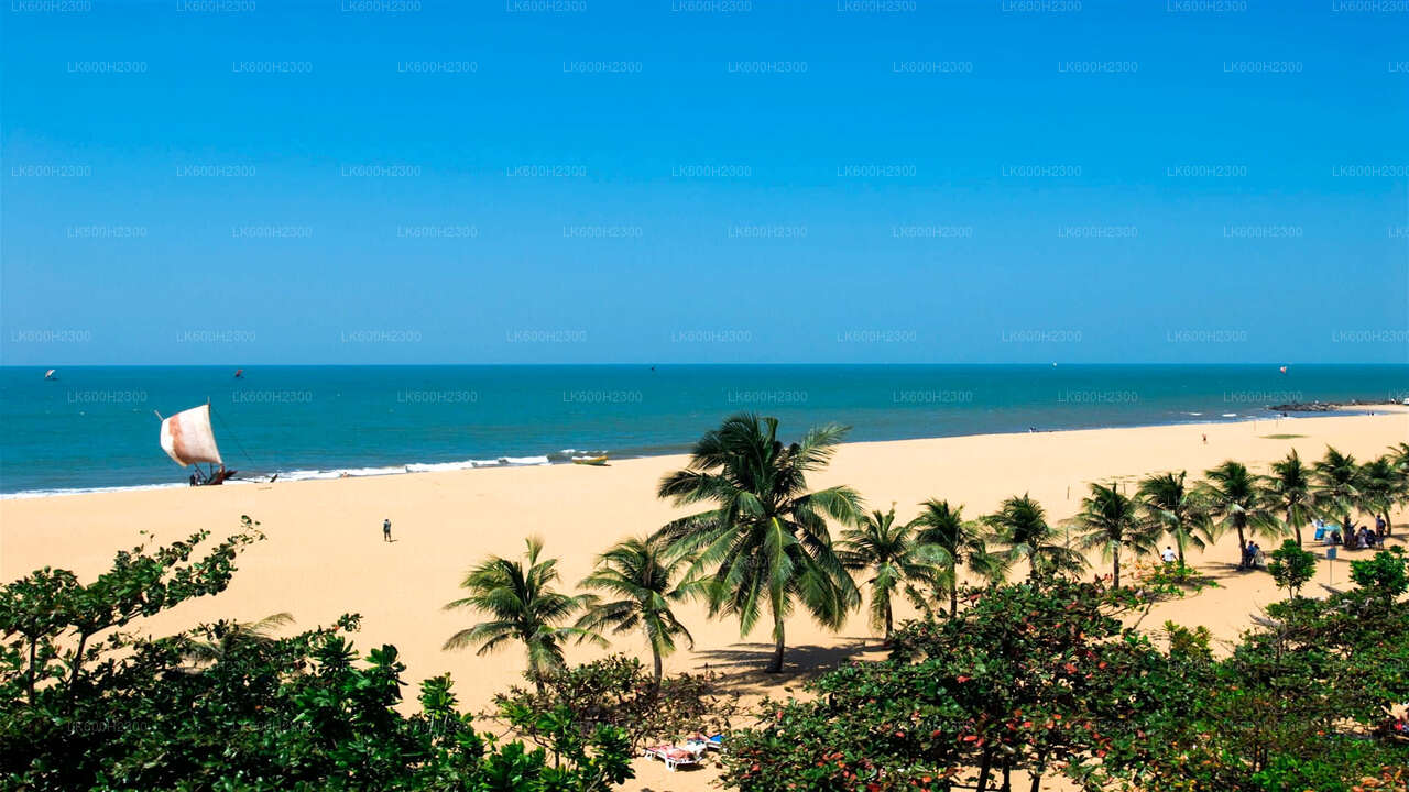 Negombo linnaekskursioon Colombost