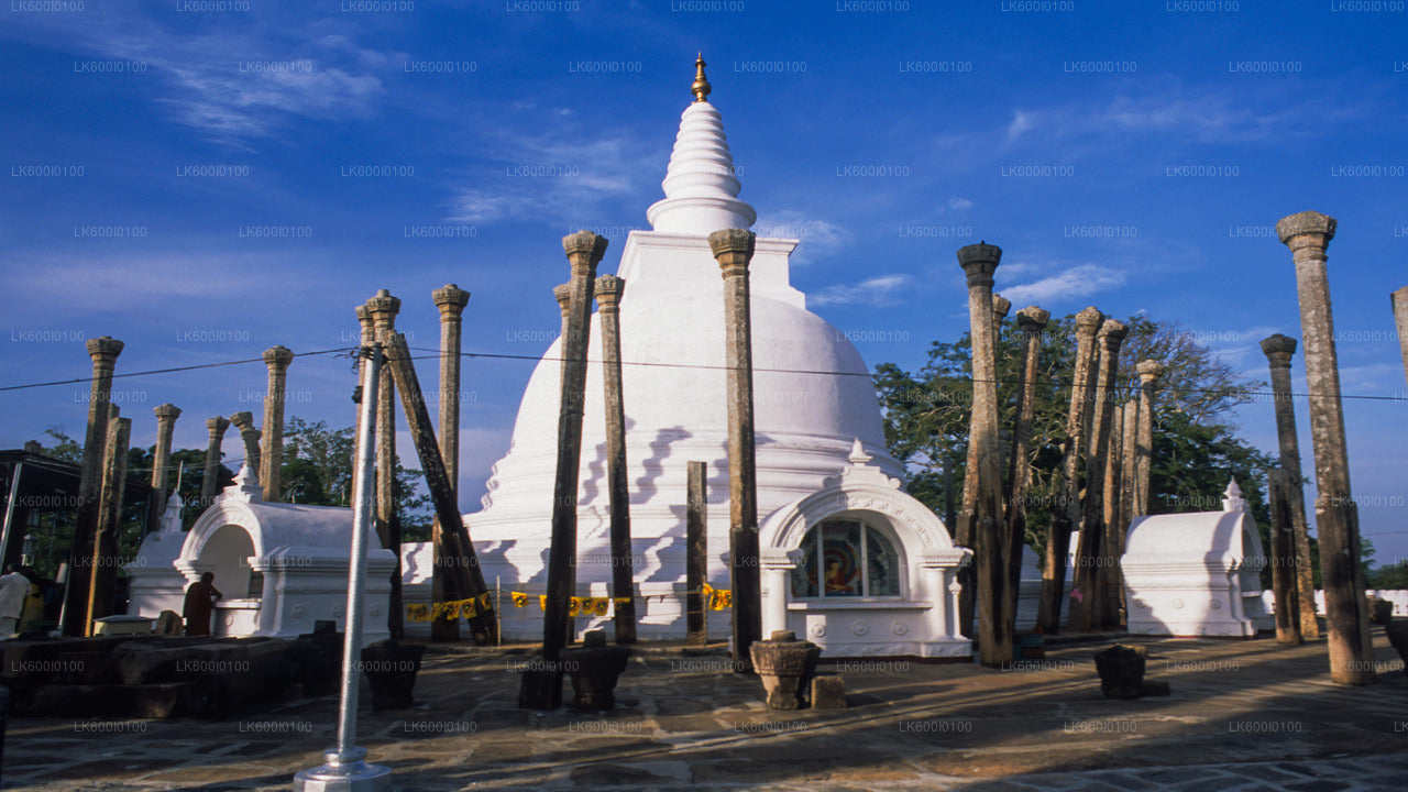 White Buddhist stupa surrounded by stone pillars at an ancient temple site in Sri Lanka.