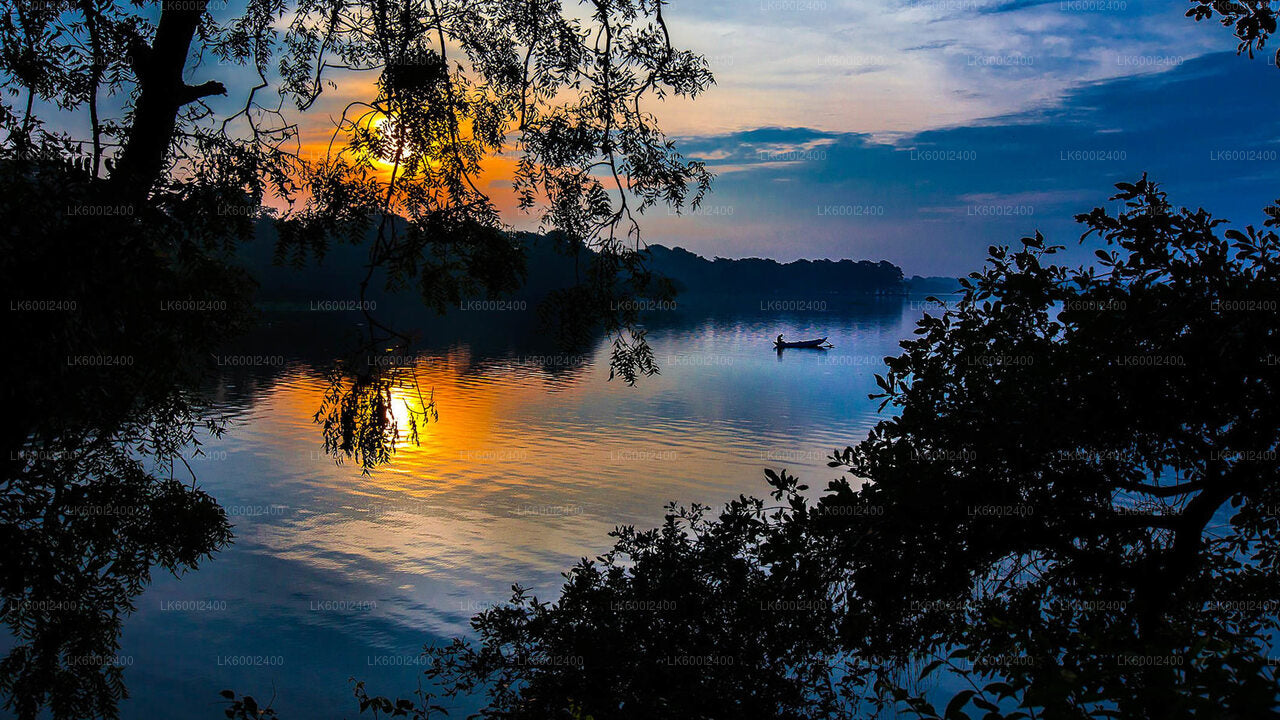 Ritigala, Kala Wewa and Namal Uyana from Dambulla