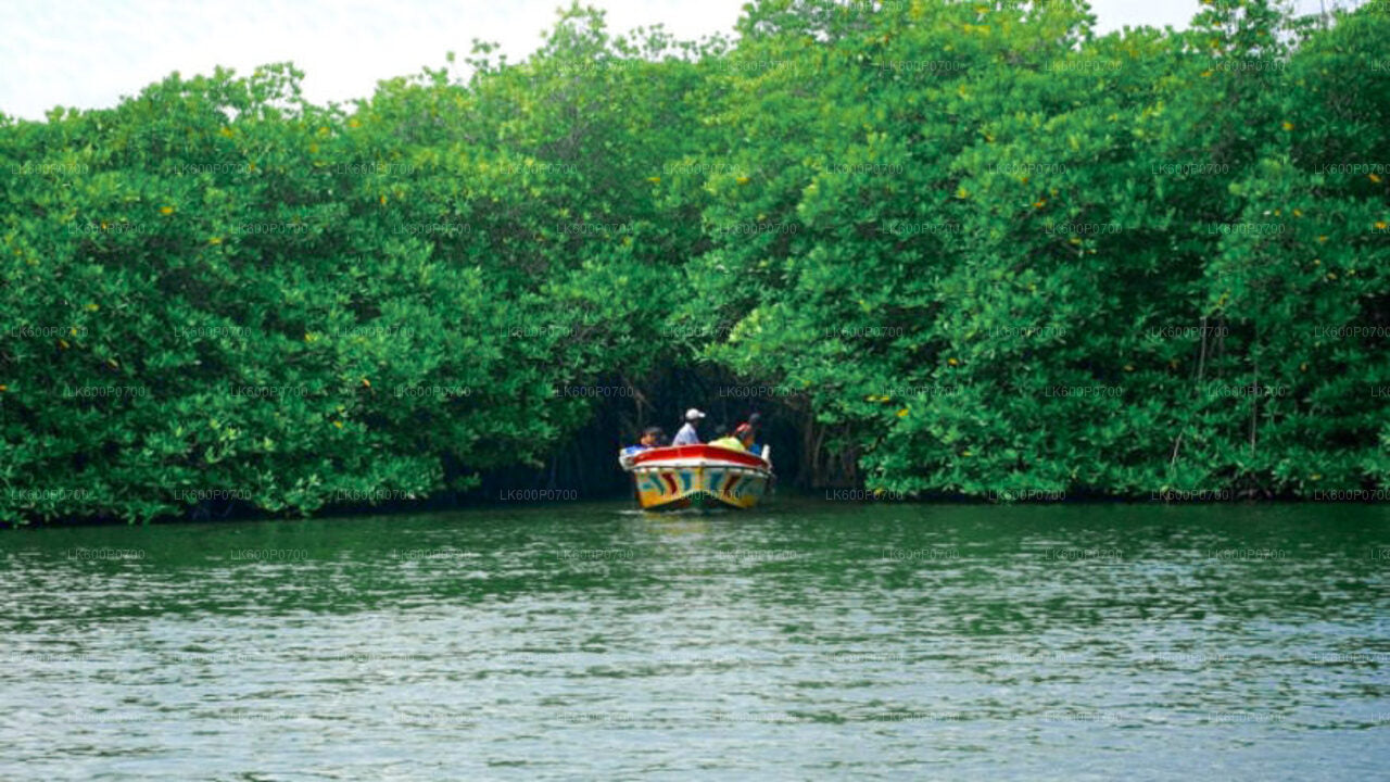 Galle'ist pärit iidse Hollandi kindluse tuur ja jõesafari
