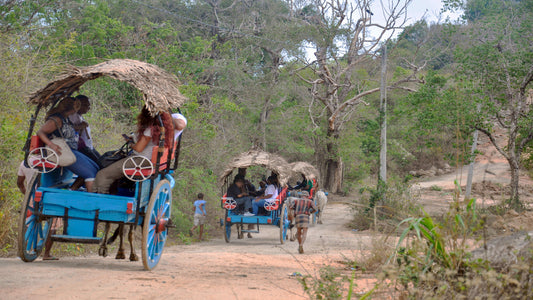 Sigiriya Rock and Village Tour from Habarana