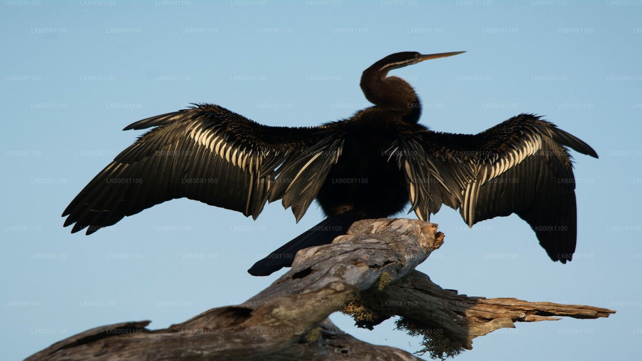 Bundala rahvuspargi safari Hikkaduwast