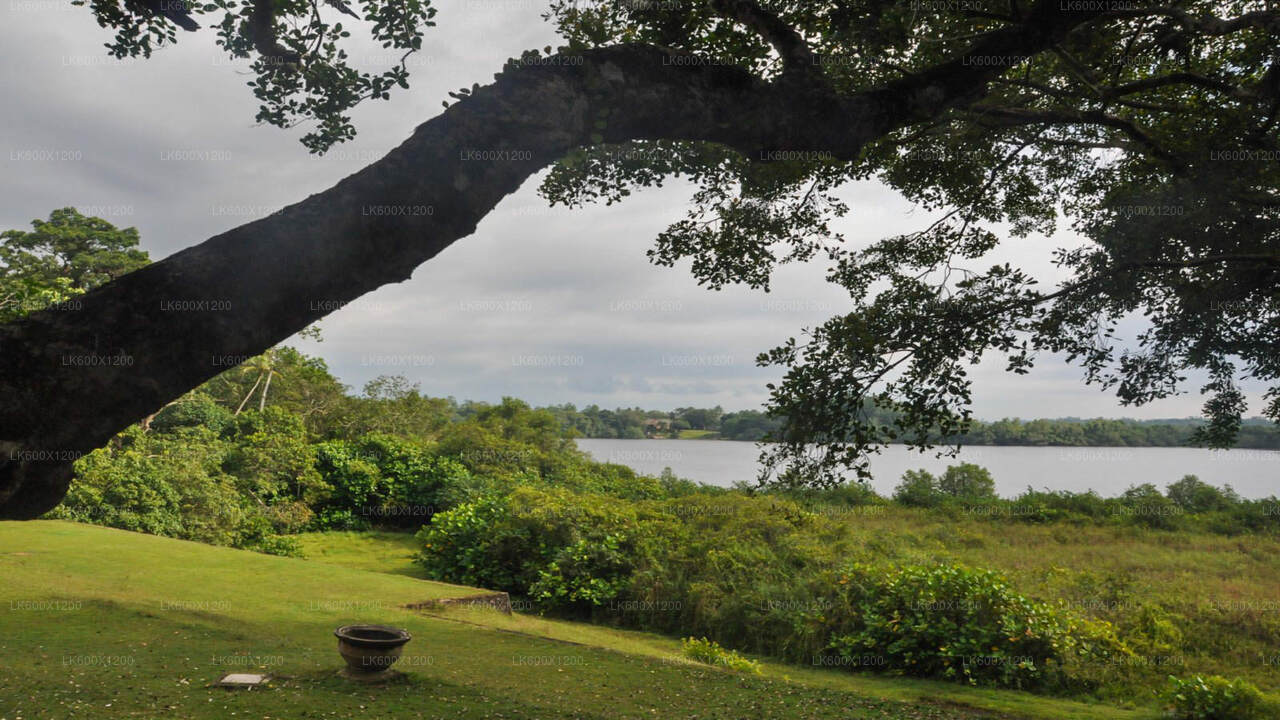 Bentota linnaekskursioon Hikkaduwast