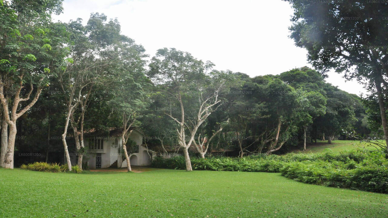 Bentota linnaekskursioon Hikkaduwast