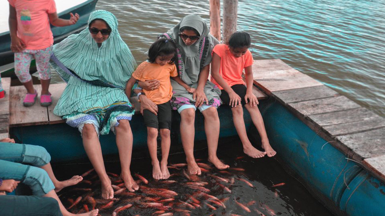 Balapitiya, Handunugoda ja Galle Bentotast