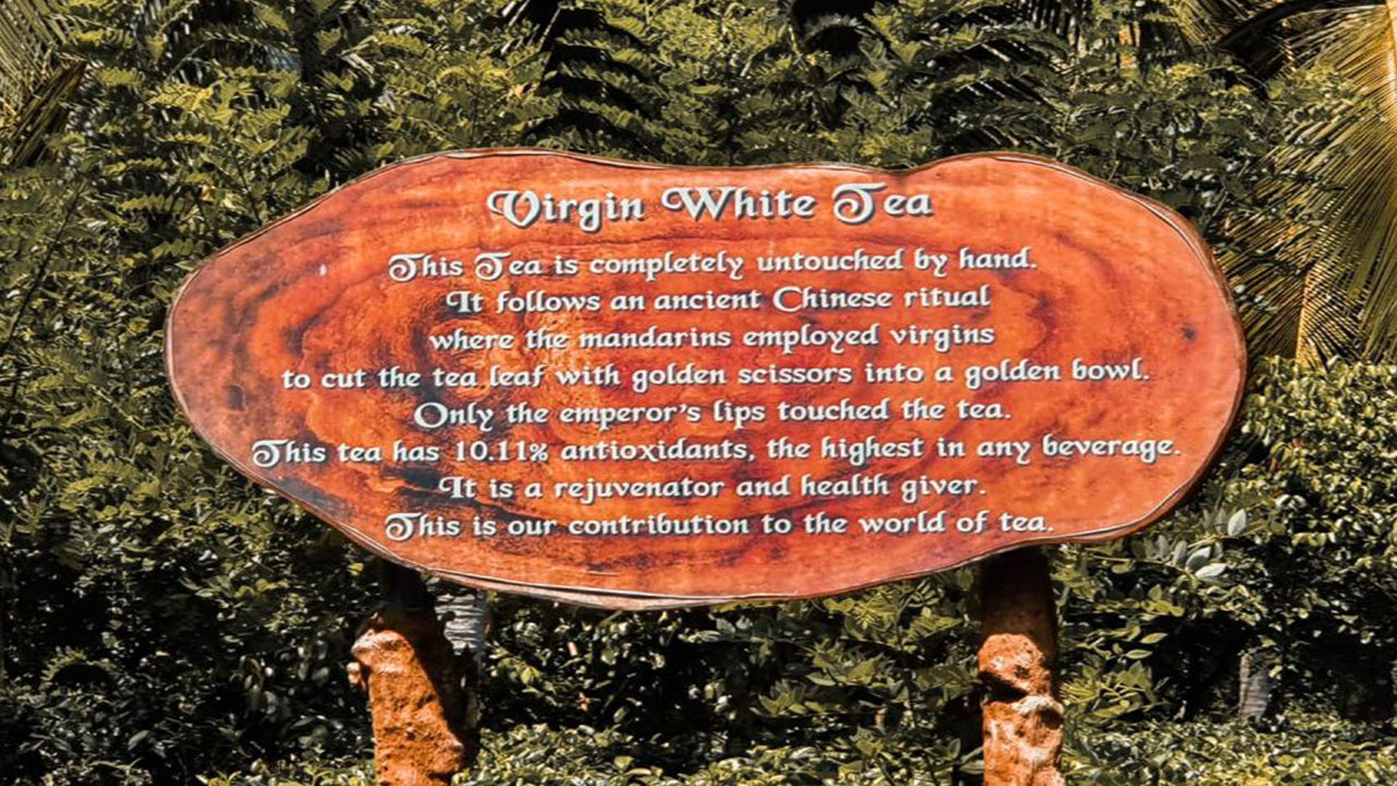 Balapitiya, Handunugoda ja Galle Bentotast