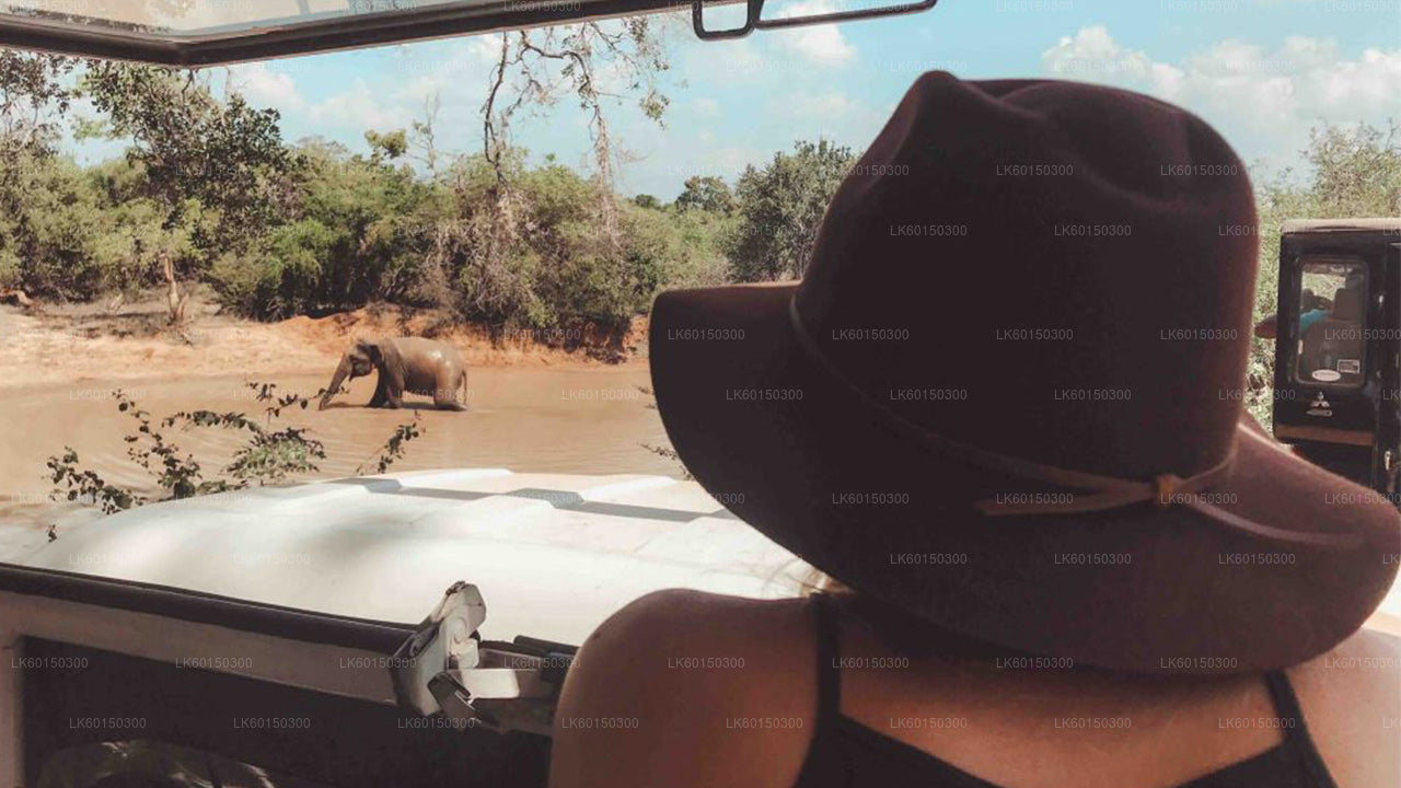 Yala rahvuspargi safari Tangallest