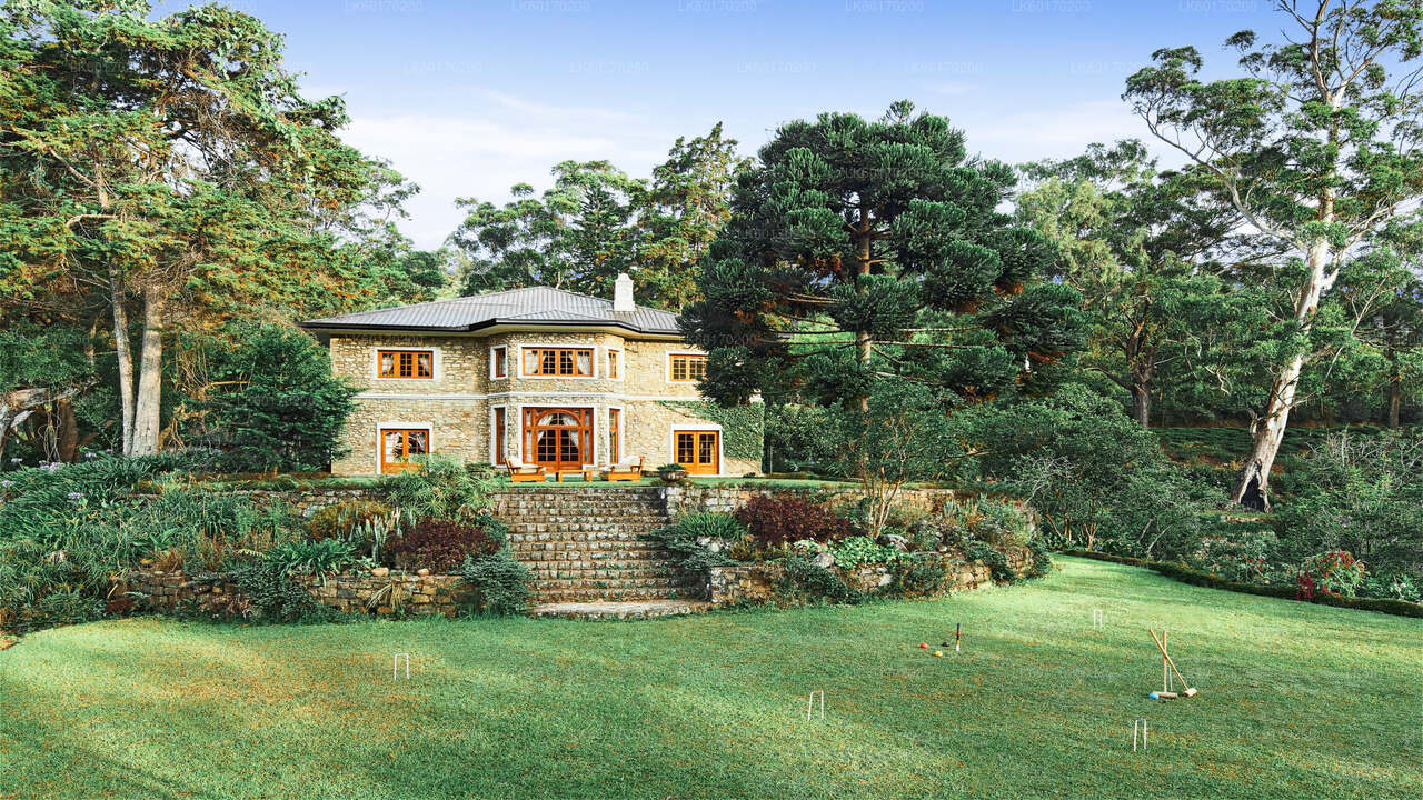 Nuwara Eliya Highlands Kandyst