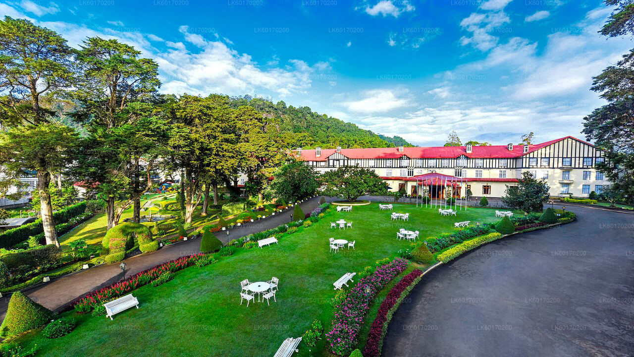Nuwara Eliya Highlands Kandyst