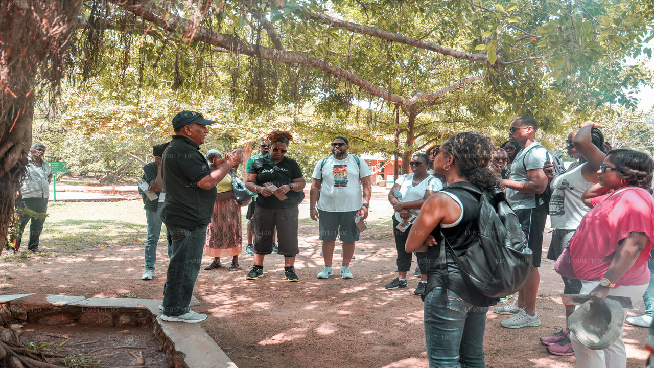 Sigiriya ja Dambulla Kandyst