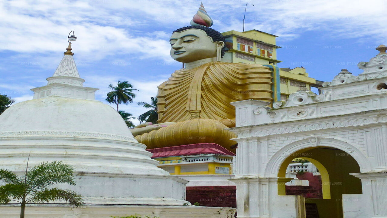 Hidden Temples and Secluded Coastline from Koggala