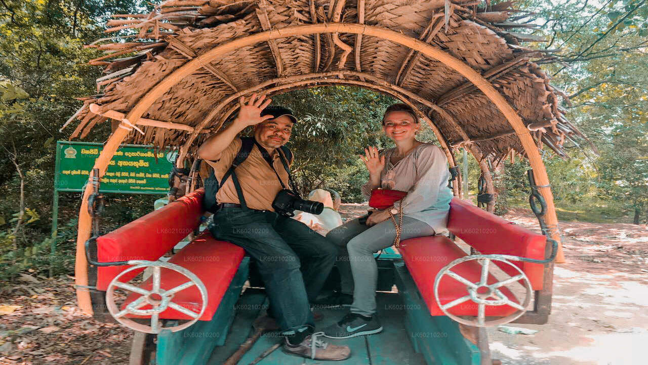 Two people sitting in a traditional Sri Lankan bullock cart, smiling and posing for the camera.
