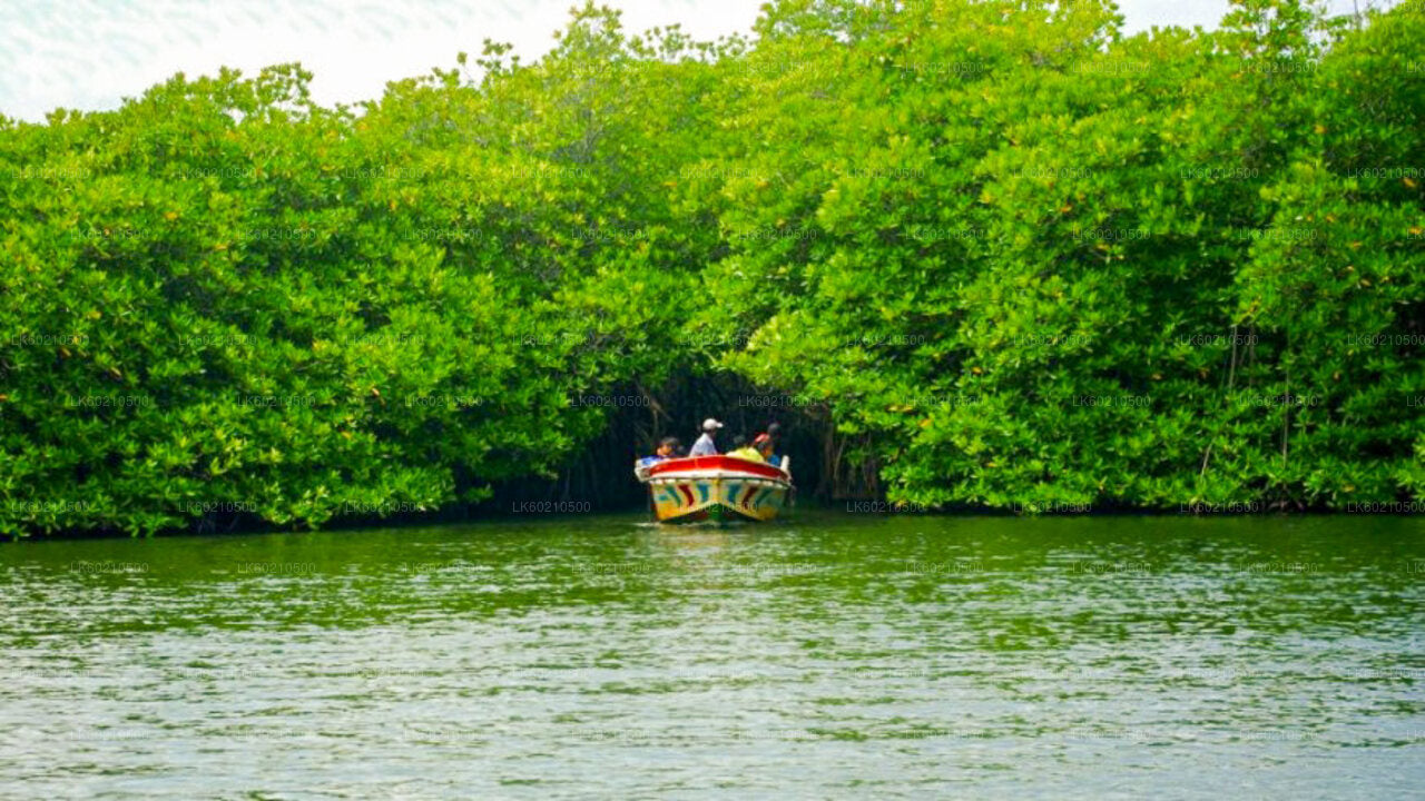 Bentota linnaekskursioon Tangallest