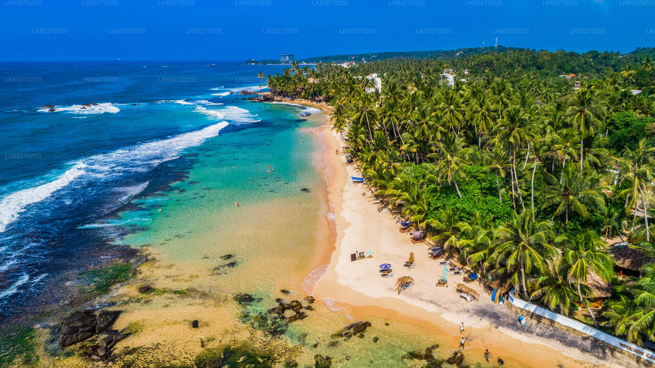 Lõunaranniku tipphetked Dikwellast