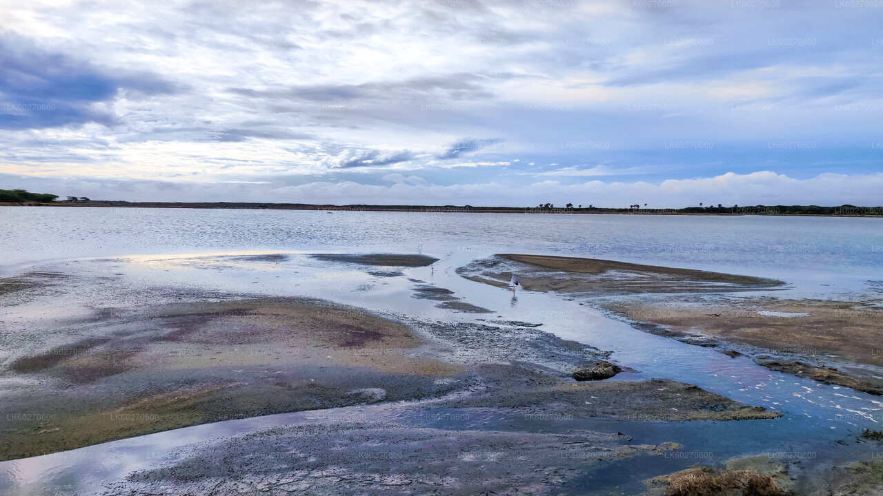 8 külalist + giid + transport + piletid