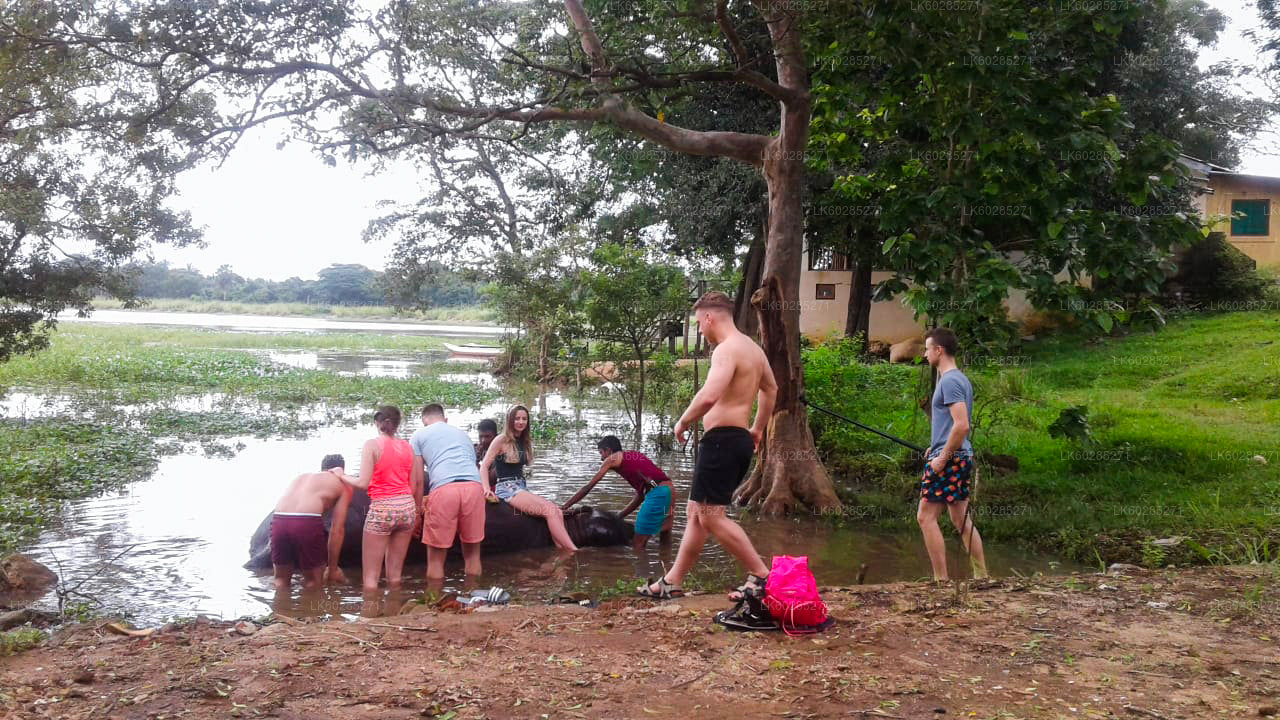 Elevandi seljas safari Habaranast