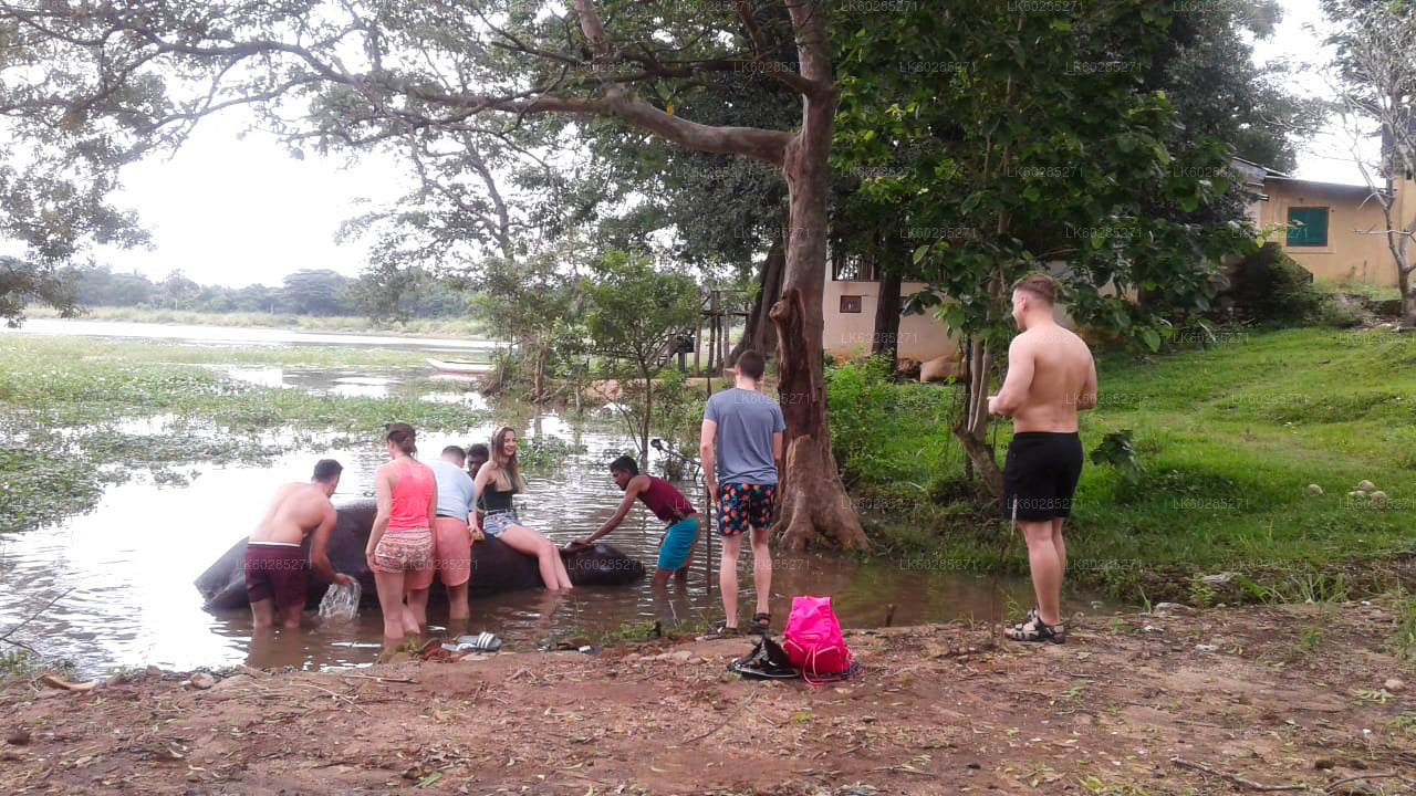 Elevandi seljas safari Habaranast