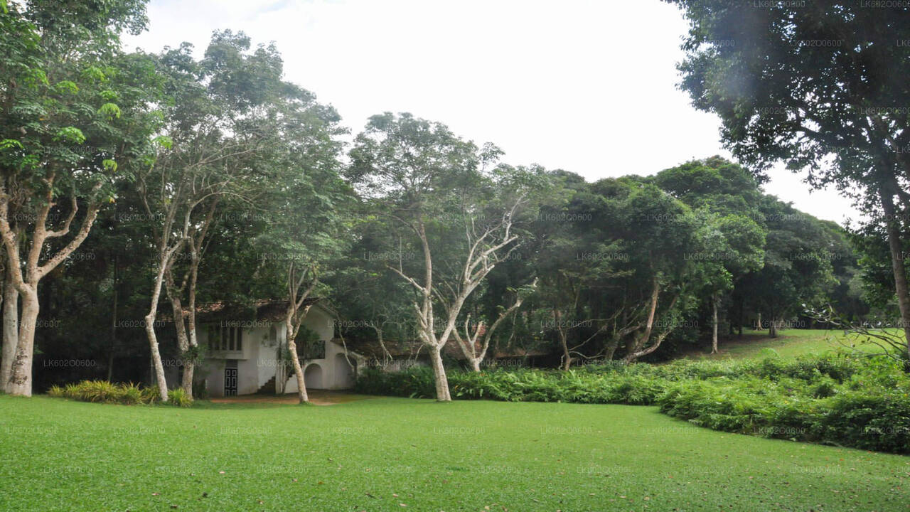 Bentota linnaekskursioon Mirissast