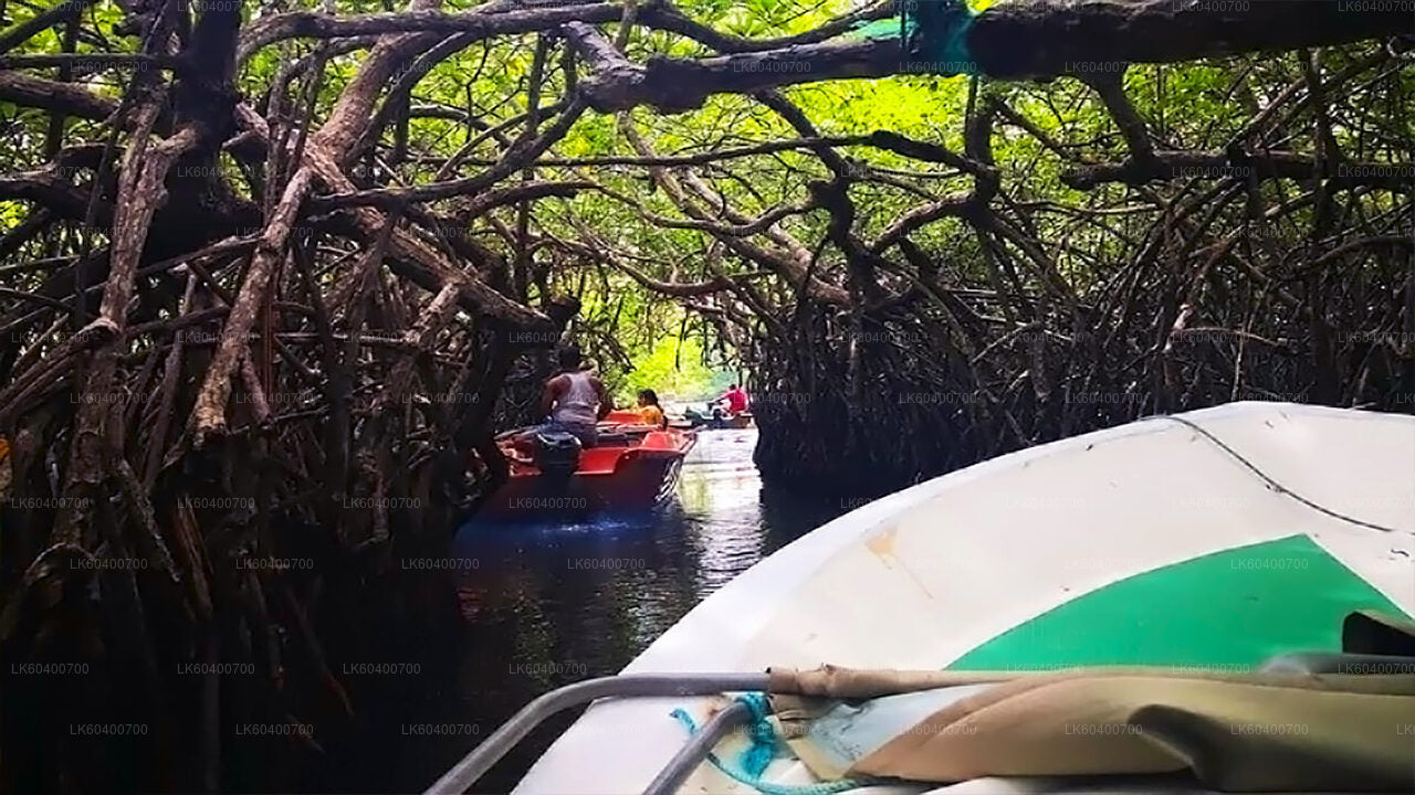 Bentota linnaekskursioon ja Galle Ahungallast