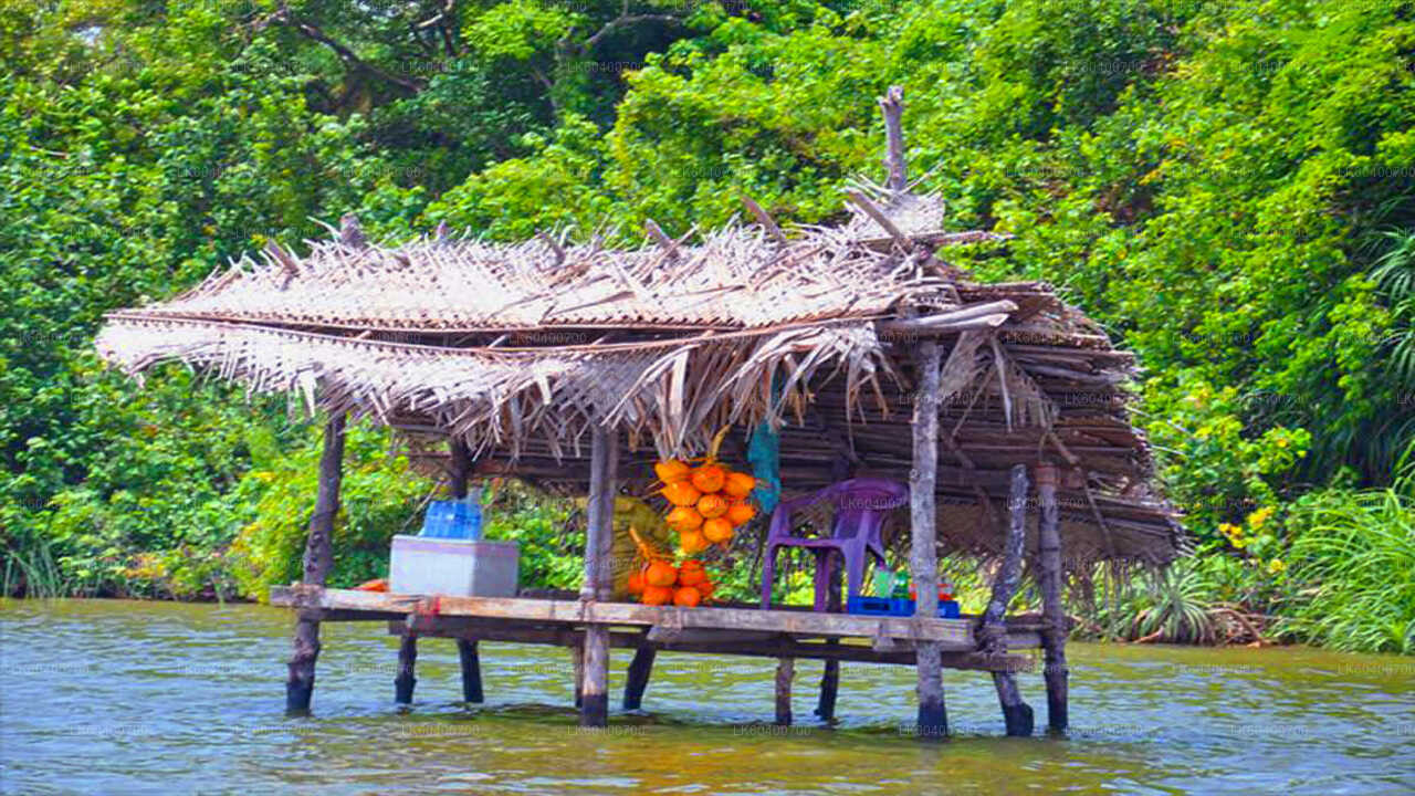 Bentota linnaekskursioon ja Galle Ahungallast