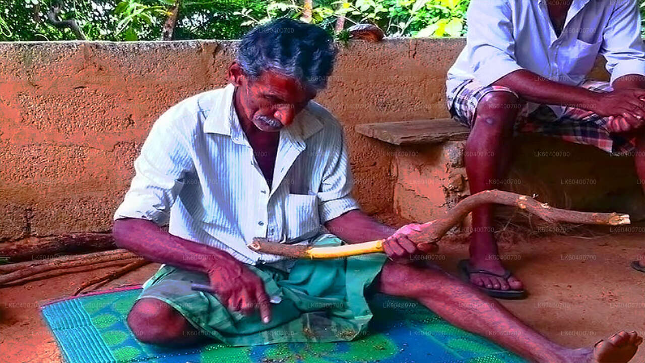 Bentota linnaekskursioon ja Galle Ahungallast