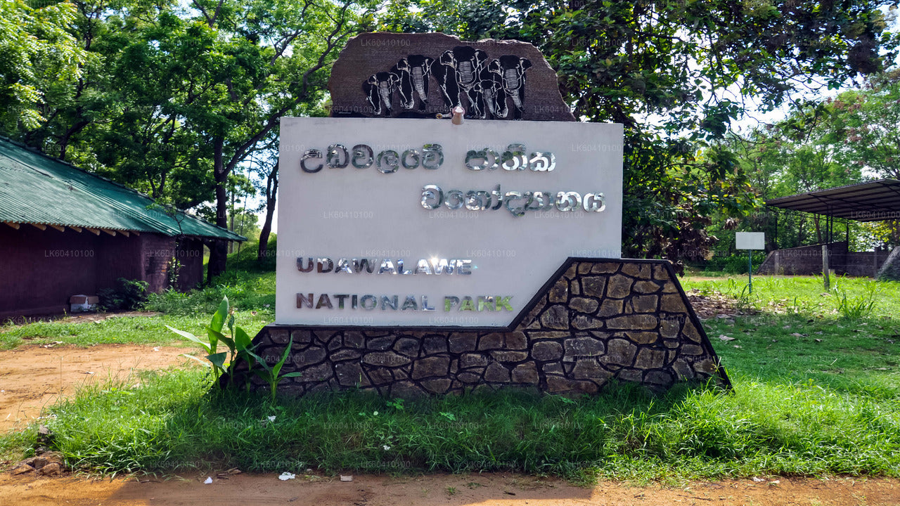 Udawalawe rahvuspargi safari Unawatunast