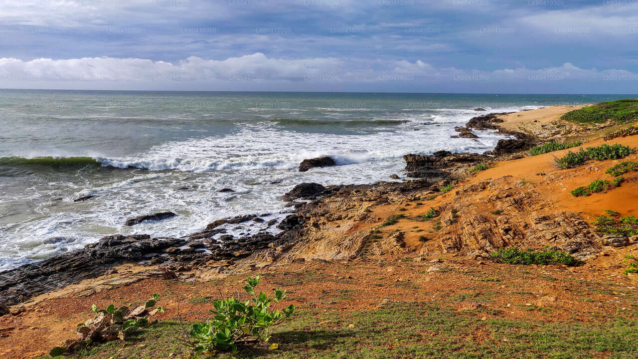 Bundala rahvuspargi safari Unawatunast