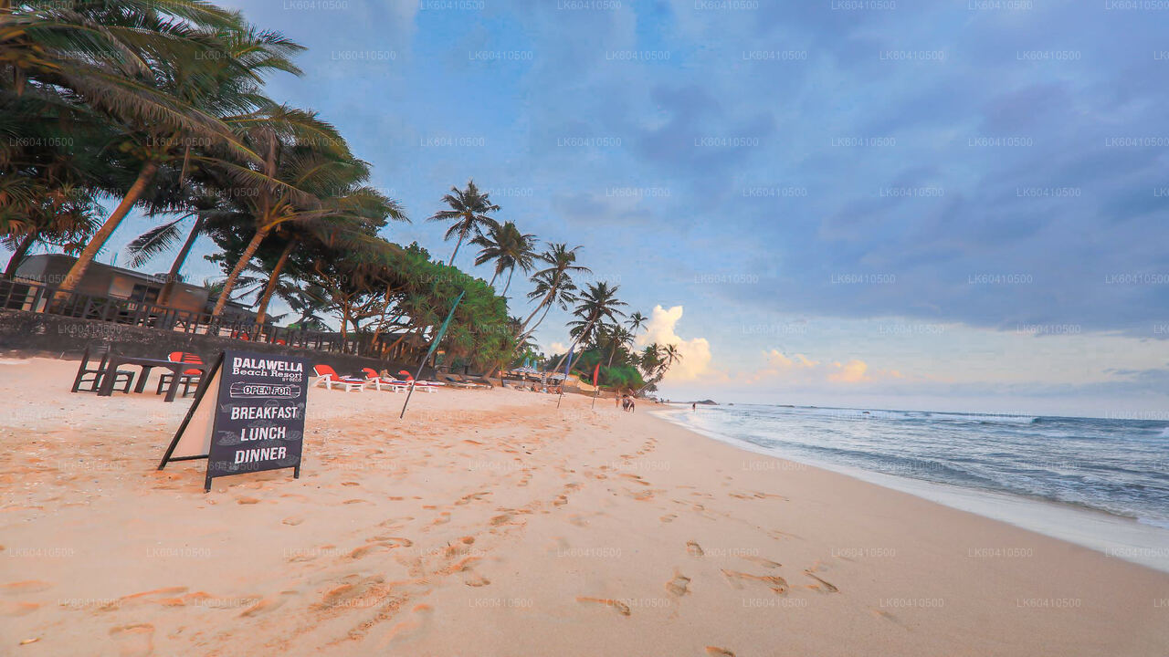 Lo más destacado de la costa sur desde Unawatuna