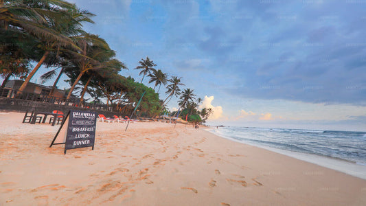 Lo más destacado de la costa sur desde Unawatuna