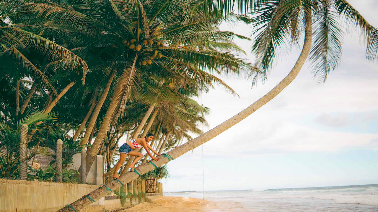 Lo más destacado de la costa sur desde Unawatuna