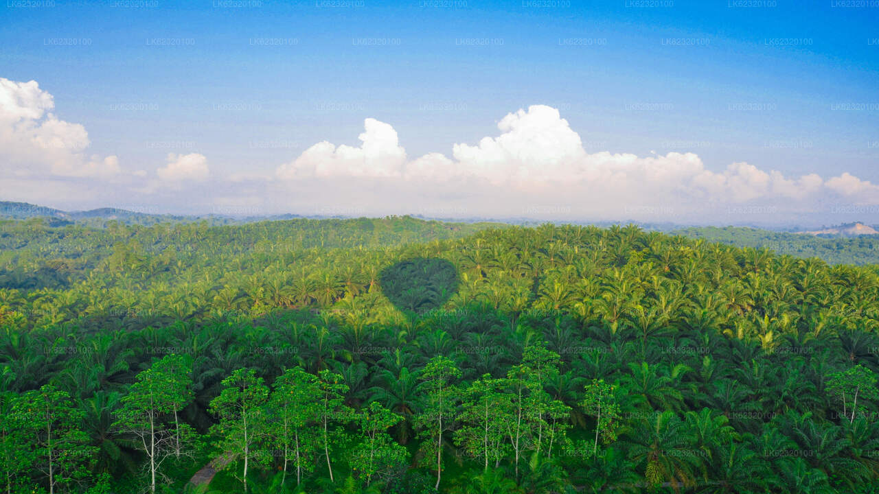 Kuumaõhupalliga lendamine Habaranast