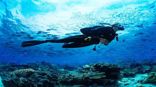 Sukeldumine Hikkaduwast