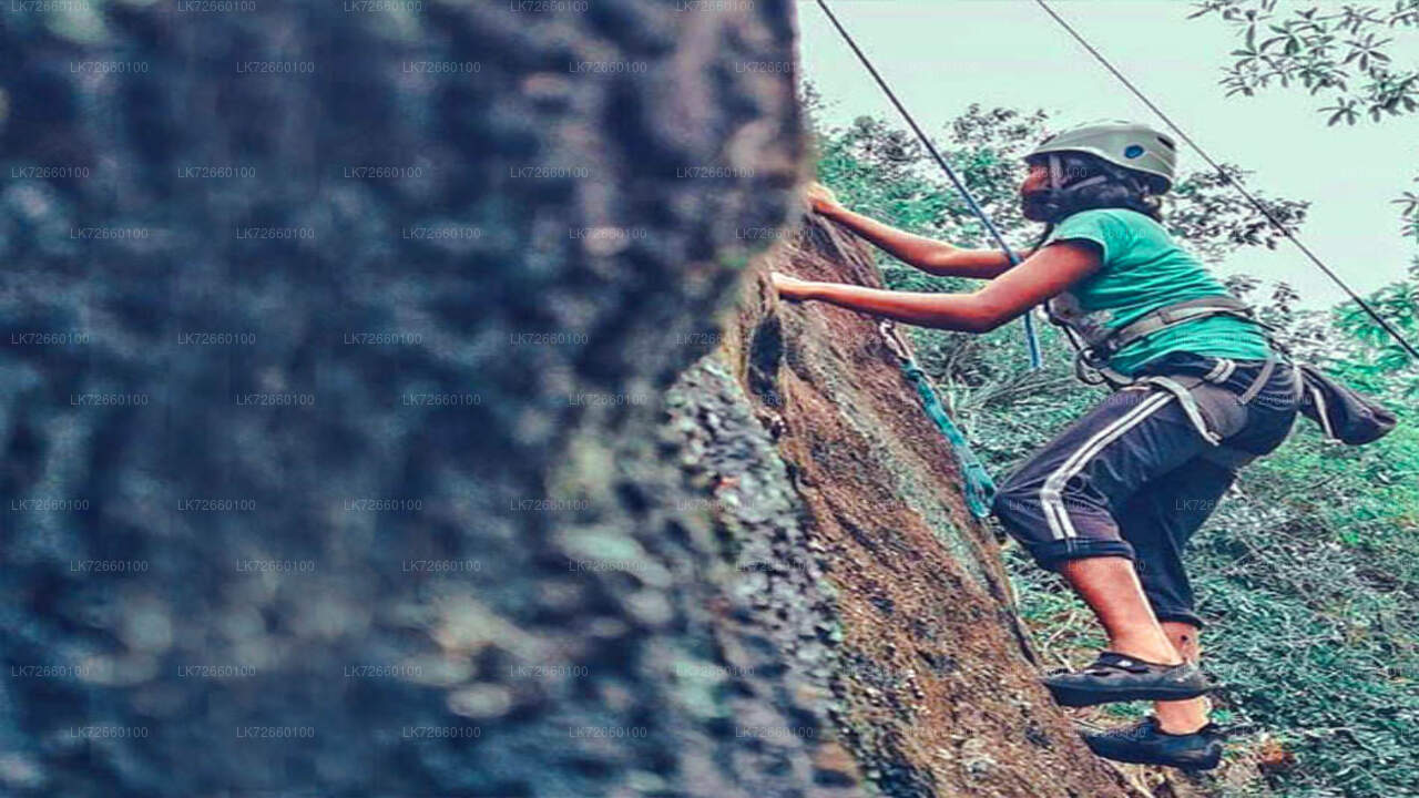 Forest Rock Climbing from Mount Lavinia