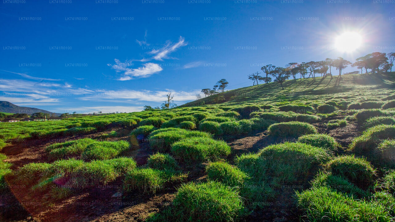 A scenic view of lush green fields and forested hills under a clear blue sky with sun rays peeking through the clouds.