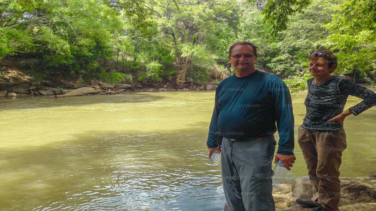 Birdwatching at Udawalawe National Park from Mount Lavinia