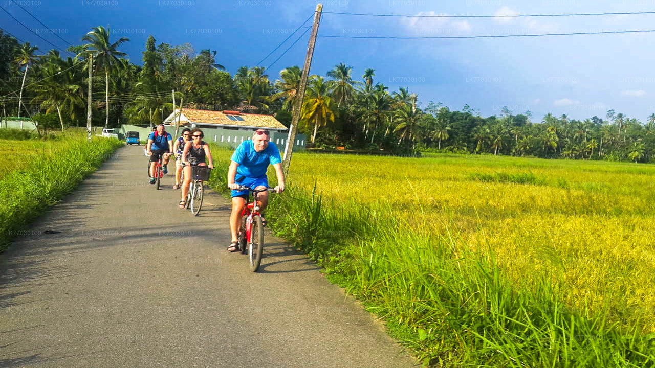 Ciclismo desde Bentota