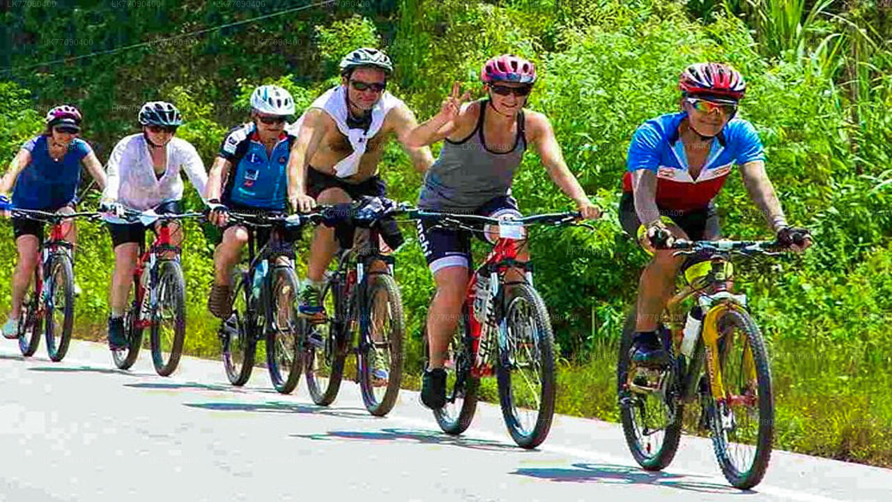 Avastage iidne Ella jalgrattaga Ellast