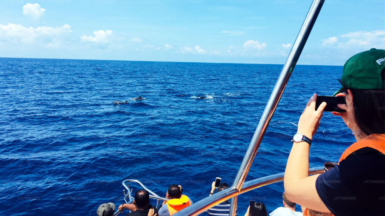 2-öine kruiisipuhkus Mirissas