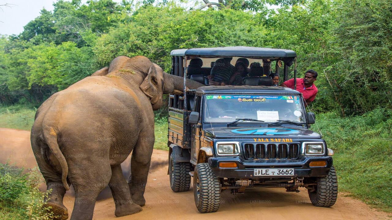 Yala rahvuspargi safari Hambantota sadamast