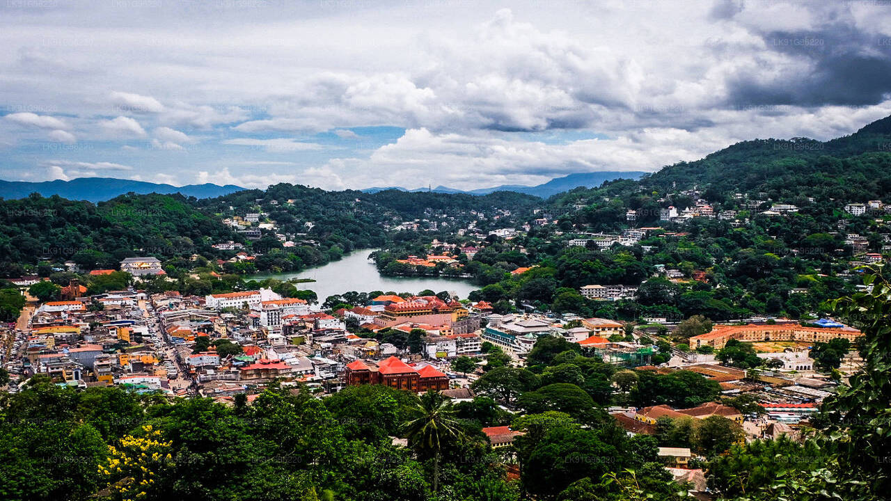 Discover Kandy by Helicopter from Ratmalana